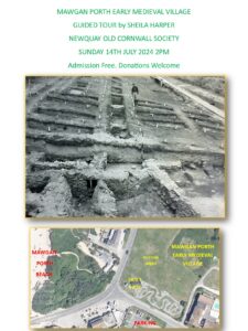 Guided tour: Mawgan Porth early medieval village 14th July 2024