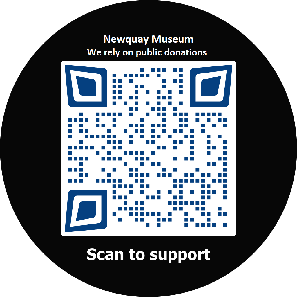 Newquay Museum QR Code (Transparent)